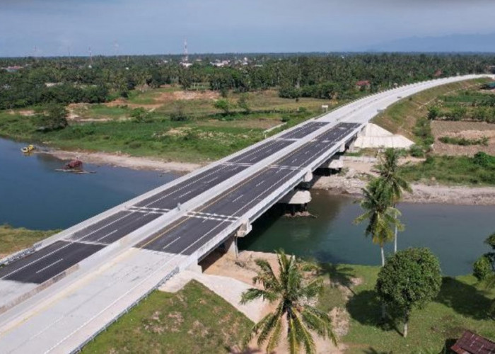 Mudik Lebaran 2025: Tol Palembang-Betung dan 2 Ruas JTTS Dibuka Fungsional, Ini Jadwal dan Ketentuannya!