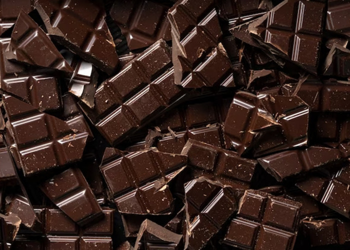 Bahaya Terlalu Sering Mengonsumsi Cokelat yang Perlu Kamu Tahu