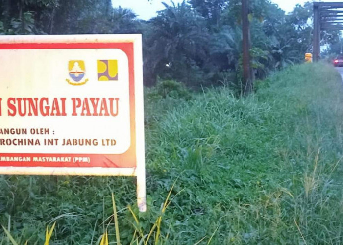 Jembatan Sei Payau SKK Migas-PetroChina Permudah Akses Dari Muaro Jambi dan Tanjab Timur Menuju Kota Jambi