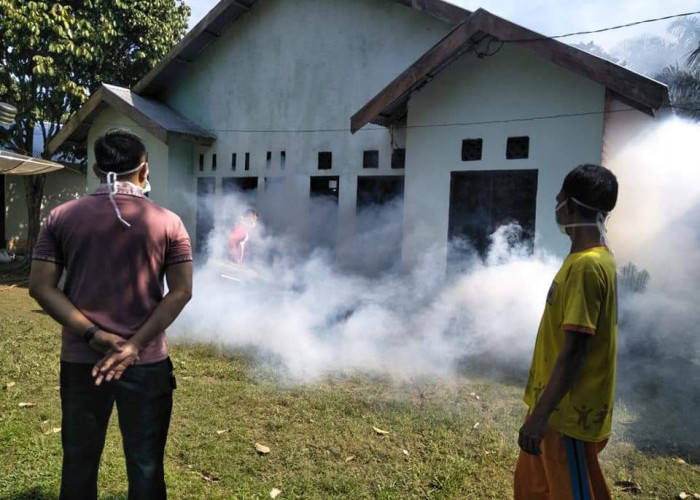 Kasus DBD di Kabupaten Tanjab Timur Meningkat 