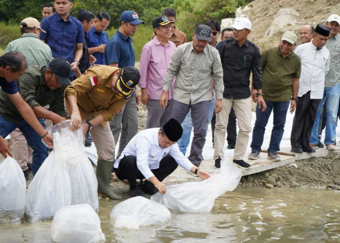 Safari Ramadan di Kerinci, Gubernur Al Haris Tebar 10 Ribu Benih Ikan dan Cek Lokasi Sekolah Rakyat