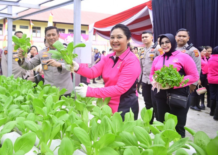 Polda Jambi dan Jajaran Panen Pekarangan Pangan Lestari, Dukung Program Ketahanan Pangan