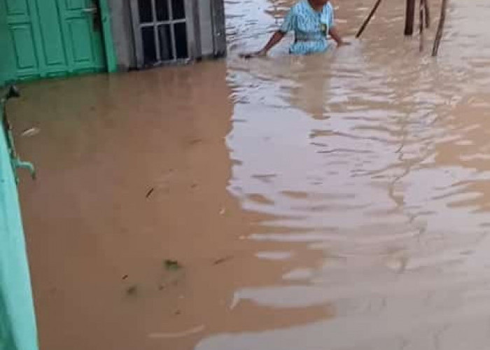 Banjir di Jambi Akibat Hujan Deras Semalaman, 350 Rumah Warga di Kabupaten Bungo Terendam