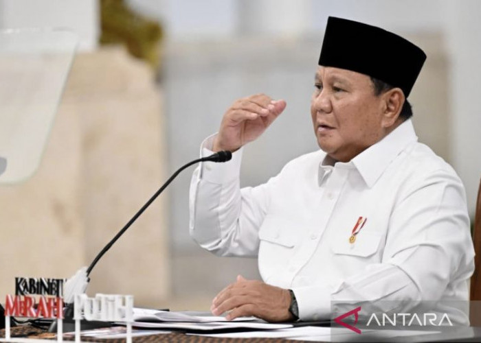 Prabowo: 250 BUMN Ditutup Hingga 31 Juli, Penghematan Capai Rp50 T