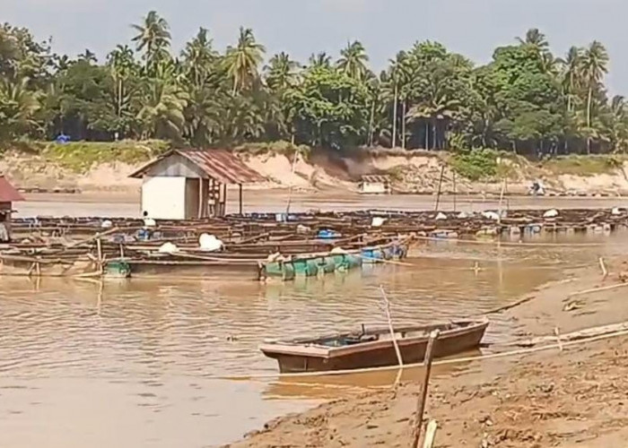 Kemarau Panjang, Debit Sungai Batanghari Terancam Terus Menyusut, BPBD Minta Masyarakat Bijak Gunakan Air