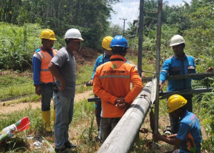 PLN Rimbo Bujang Gerak Cepat Recovery Gangguan Listrik Akibat Hujan dan Badai Ekstrim