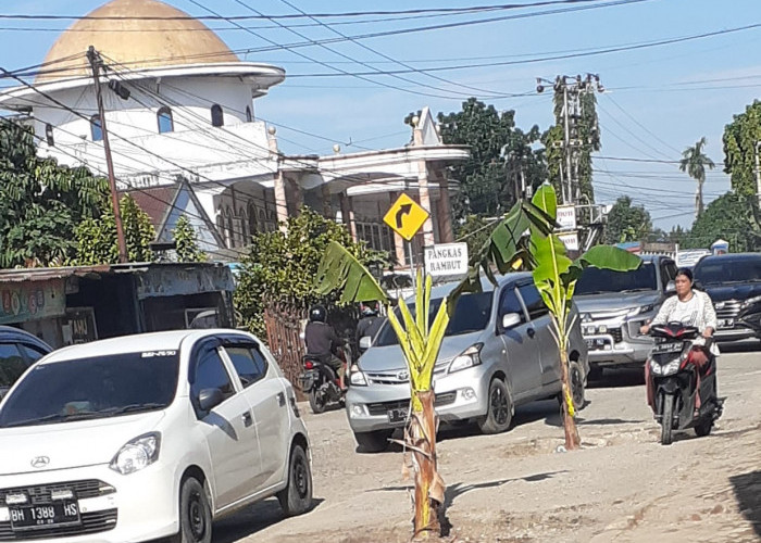 Viral Warga Buluran Kenali Tanam Pisang di Tengah Jalan, Camat Telanaipura: Mereka Mau Dilihat Pihak Provinsi