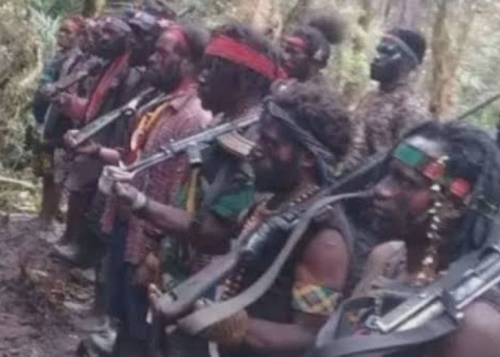 Oknum Pemda Papua Jadi Dalang dan Pemasok Senjata untuk KKB di tangkap TNI,  Puluhan Anggota KKB Berguguran