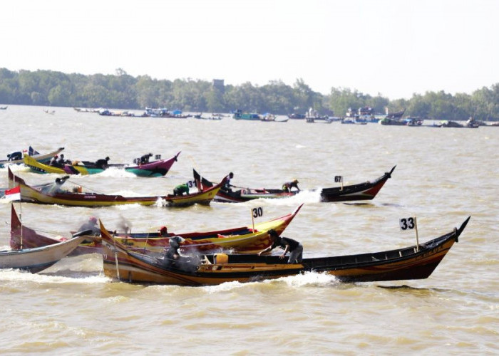 Meriah! Peringati HUT RI ke-81 dan Hari Jadi Tanjab Barat ke-61, Presisi Merdeka Balap Pompong Sukses Digelar