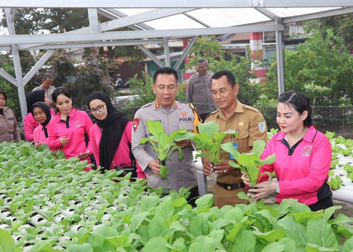 Dukung Asta Cita, Kapolresta Jambi dan Ketua Bhayangkari Launching Program Pekarangan Pangan Lahan Serentak