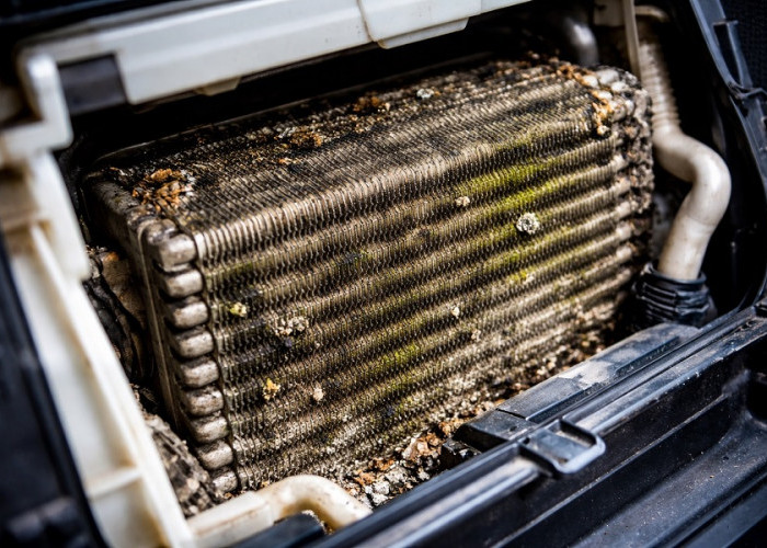 Jangan Dibiarkan! Penyebab AC Mobil Bau Apek Setelah Banjir dan Cara Mengatasinya