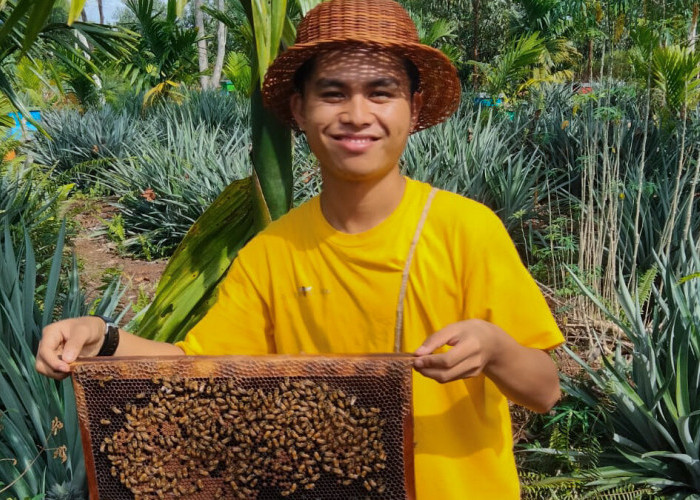 Kisah Dorel, Mahasiswa Kehutanan UNJA yang Sukses Merintis Bisnis Budidaya Lebah Madu