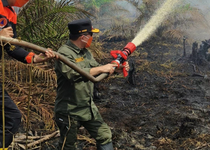 Gubernur Turun Langsung Padamkan Karhutla di Muarojambi, Al Haris: Api Sudah 3 Hari, Gambut Sulit Dipadamkan