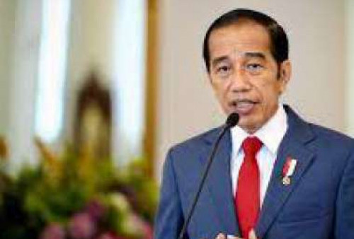 Waduh,  Helmi Felis Sebut Presiden Jokowi Minim  Prestasi