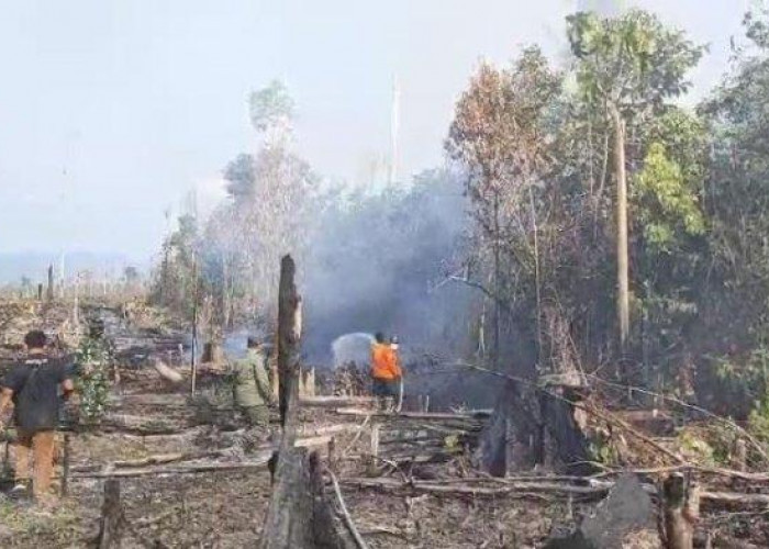 Karhutla di Kabupaten Tebo, 15 Hektar Lahan Terbakar dalam 2 Minggu Ini