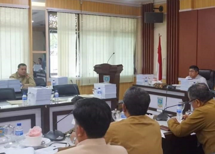 DPRD kota Jambi dari Fraksi Partai Golkar Minta TAPD Berkoordinasi Terkait Dana Gaji PPPK