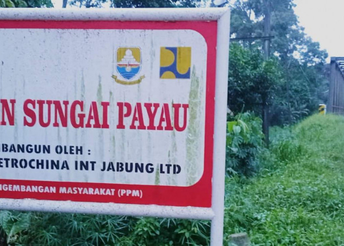 Ratusan Kendaraan Berbagai Tonase Setiap Hari Melintasi Jembatan Sungai Payau Milik SKK Migas-PetroChina