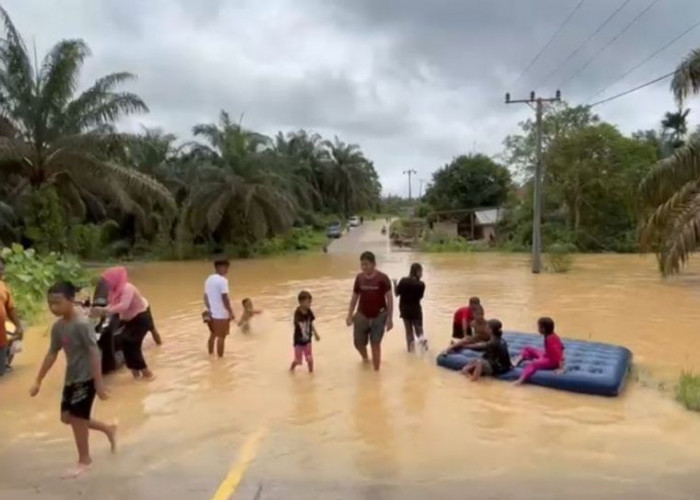 Banjir Kecamatan Tengah Ilir Rendam Ratusan Rumah Warga, Akses Jalan Nasional Tebo-Tanjab Barat Lumpuh 