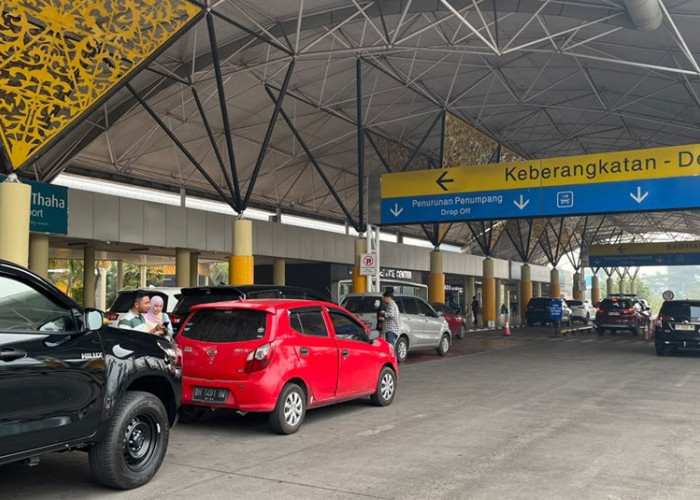 Kabut Asap Jambi Akibat Karhutla Makin Jadi! Jarak Pandang Bandara Sultan Thaha Sempat 800 Meter