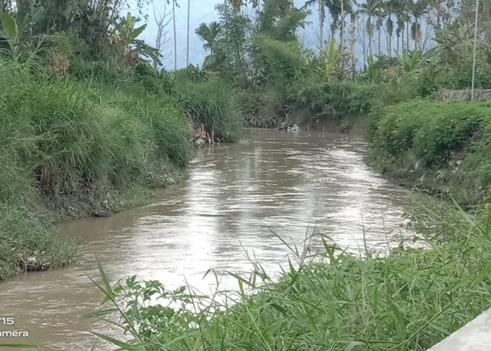 Diguyur Hujan Lebat, Debit Sungai Batang Merao Mulai Naik 