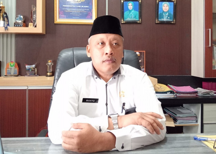 Waduh! Pengangkatan CPNS Bungo Formasi 2024 Ditunda hingga Oktober 2025