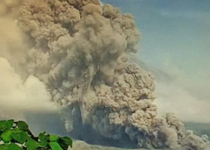 Gunung Semeru Erupsi, Keluarkan Awan Panas Guguran Sejauh 7 KM, Kini Berstatus Siaga