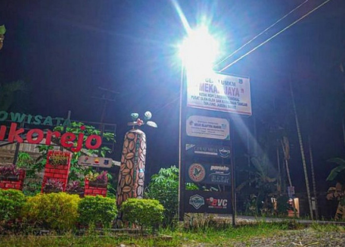 Kampung Kopi Liberika Sukorejo Binaan PetroChina International Jabung Ltd Kini Jadi Ikon Wisata di Betara
