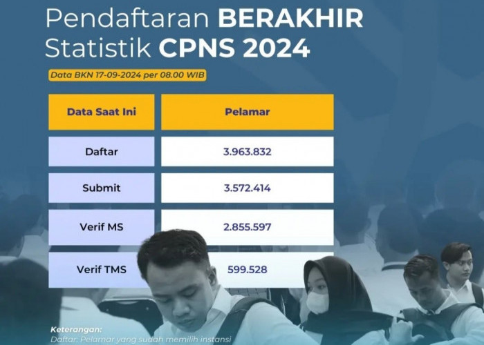 599 Ribu Pelamar CPNS Gagal, Ini Update Statistik CPNS 2024