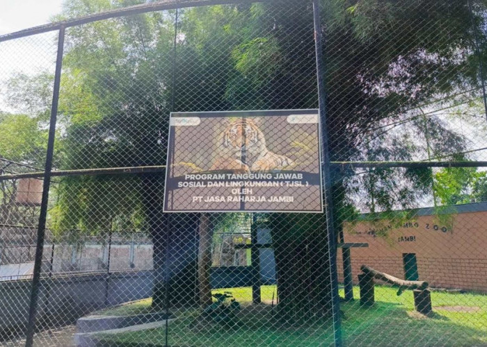 Duh! Pengunjung Taman Rimba Turun Drastis, Pasca Kematian Harimau Sumatera