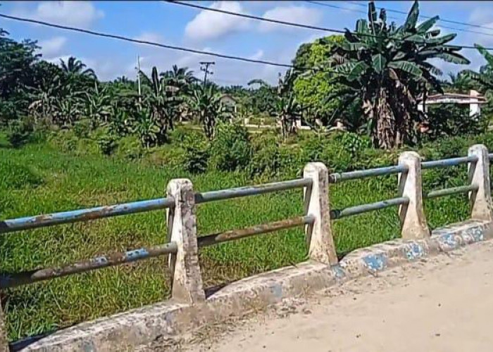  Sungai Penghubung Dua Desa di Tanjabtim Alami Sedimentasi, Khawatirkan Menimbulkan Banjir