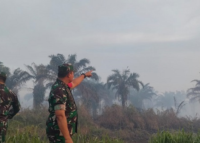 Danrem 042/Gapu Pimpin Pemadaman Api di Desa Ramin Kumpeh Muaro Jambi
