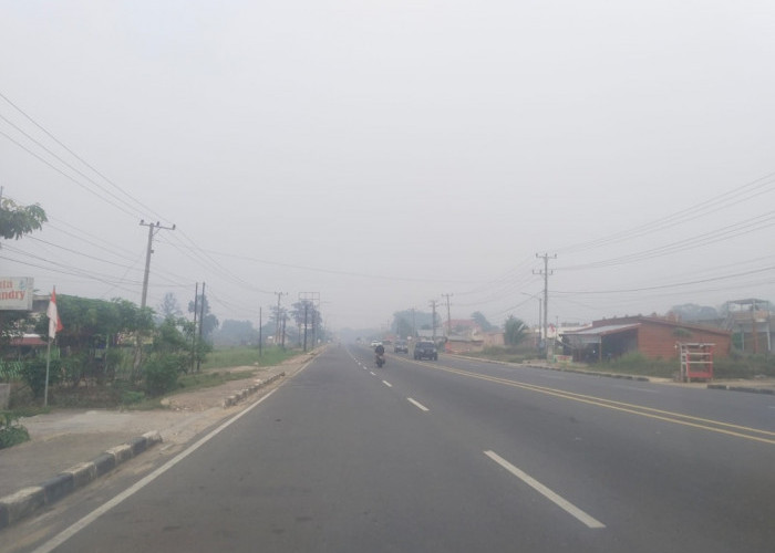 Karhutla Meningkat, Alat ISPU Tebo Malah Trouble! PM10 dan PM2.5 Belum Bisa Dibaca
