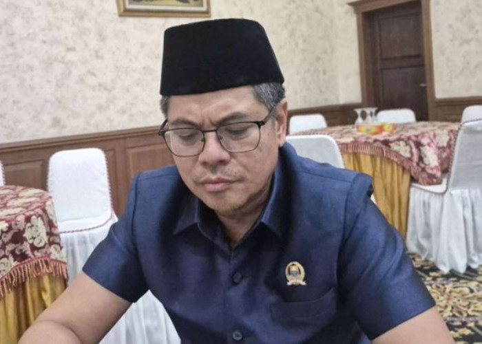 Ratusan Hektare Terbakar di Tebo, DPRD Provinsi Jambi Desak Satgas Gakkum Bongkar Penyebabnya
