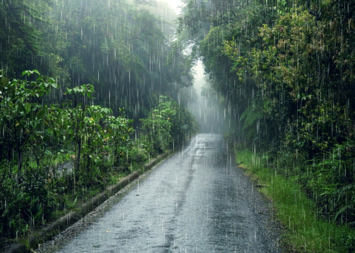 Berpotensi Hujan, Ini Prakiraan Cuaca di Jambi 6-8 Mei 2024 Menurut BMKG