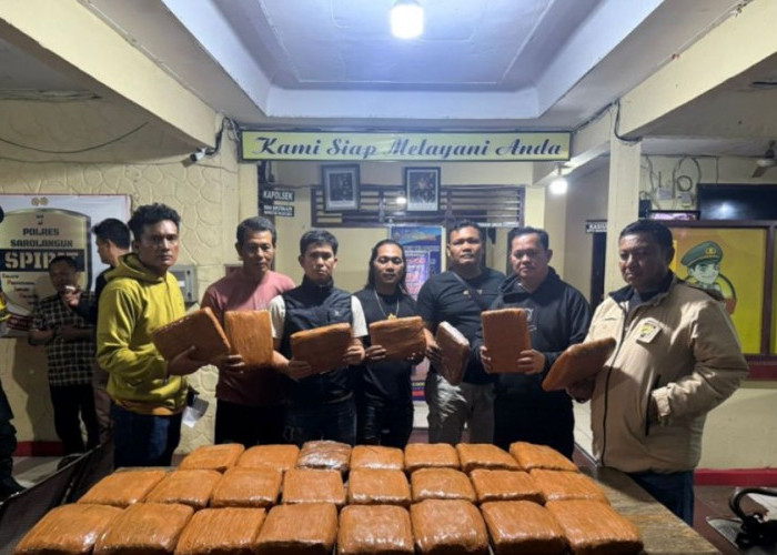 Bus AKAP Distop di Sarolangun, Polisi Gagalkan Penyelundupan 42 Kg Ganja Lintas Provinsi! Berakhir di Lampung