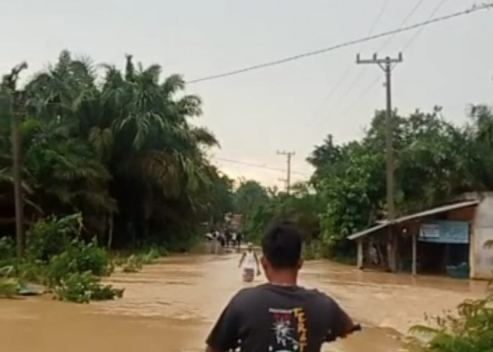 Banjir di Tebo, Fasum dan Puluhan Rumah Warga Desa Tuo Sumay Triti, Tebo-Jambi Terendam 