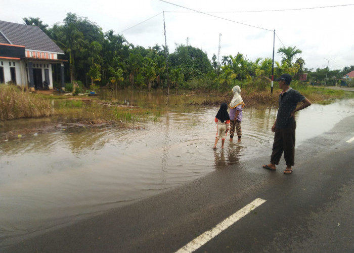 Sudah Banjir 3 Hari, Ular dan Kalajengking Sering Masuk Rumah Warga di Tanjab Timur