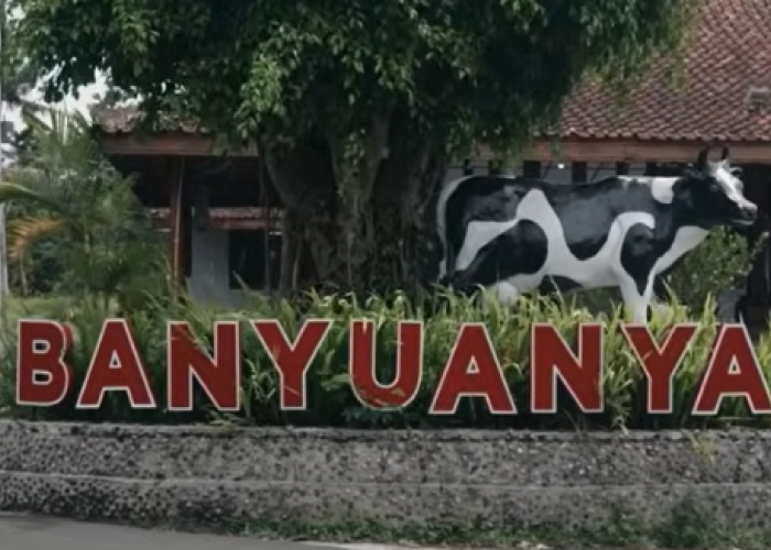 Intip Kisah Desa Banyuanyar, Desa Ramah Lingkungan yang Terus Maju Lewat Pemberdayaan Desa BRILiaN