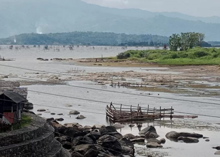 Danau Kerinci Menyusut Parah! Sawah Mengering, Nelayan Merana, Warga Sebut Terburuk Sepanjang Sejarah