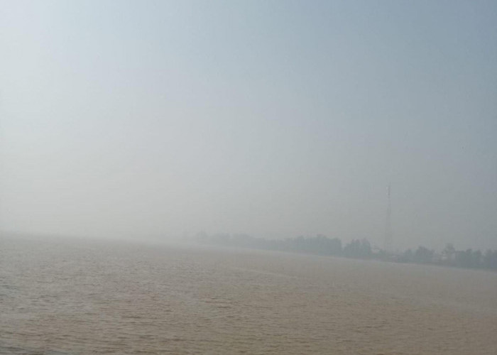 Kabut Asap Makin Tebal,  Kualitas Udara Masuk Kurang Sehat di Tanjab Timur 