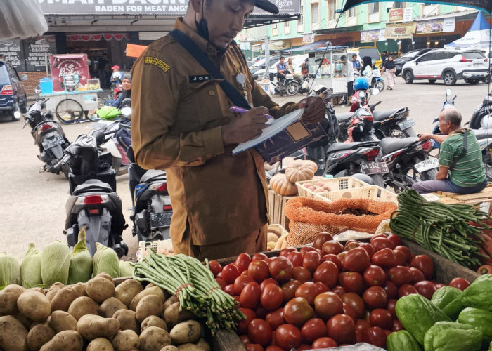 Musim Kemarau Tekan Pasokan, Sejumlah Harga Bapok di Kota Jambi Mulai Merangkak Naik