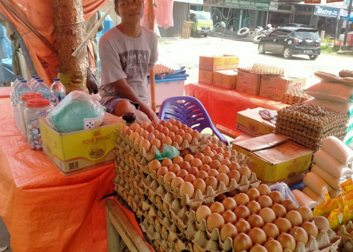 Waduh! Harga Telur di Pasar Atas Muara Bungo Melonjak Naik, Jadi Segini 