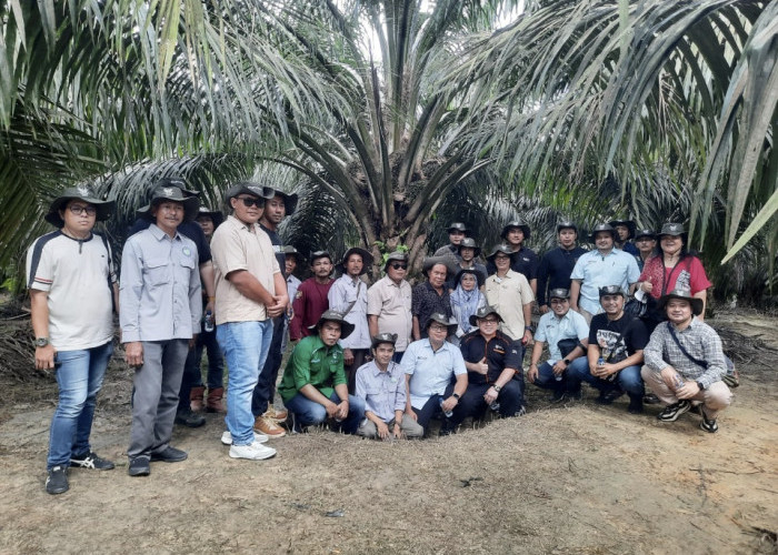 Menyaksikan Keberhasilan Mitra Petani Sawit Asian Agri di Merlung Tanjab Barat