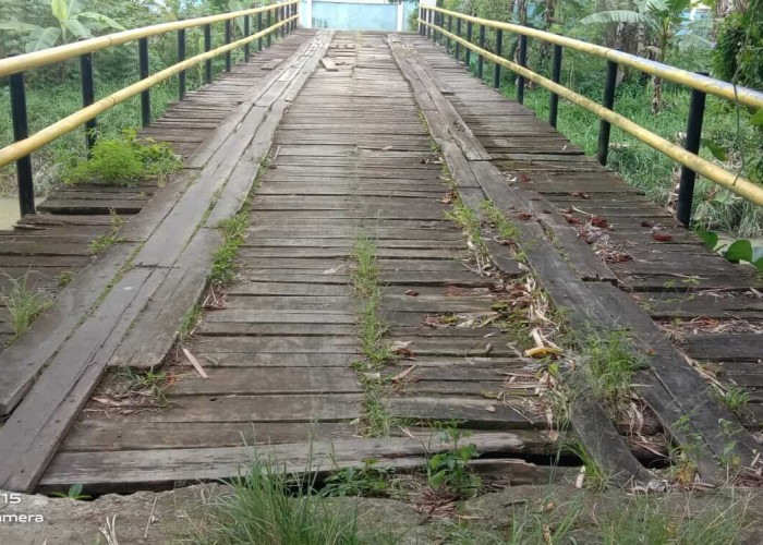 Membahayakan Pengendara, Jembatan Papan Tebat Ijuk Dili Kerinci Rusak dan Butuh Perbaikan 