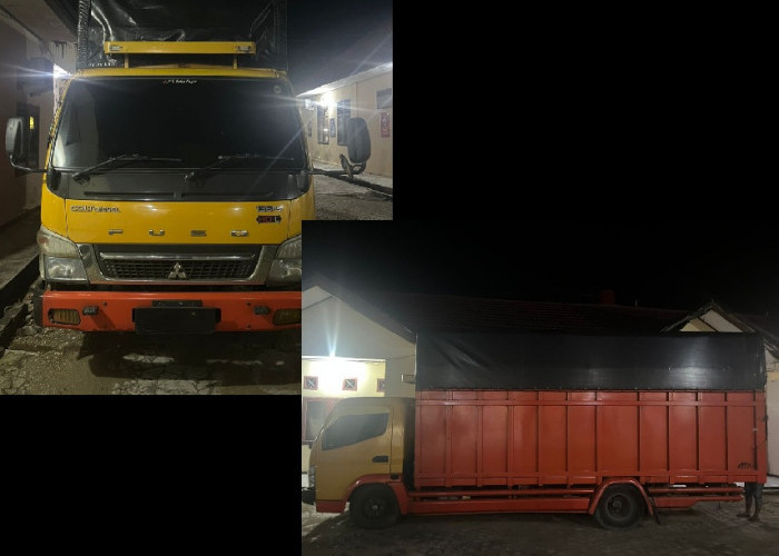 Digerebek di Jalan Lintas! Polda Jambi Bongkar Pengangkutan 12,3 Ton BBM Ilegal dari Bayat, 3 Orang Diciduk