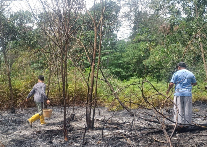  11,5 Hektare Lahan Terbakar, BPBD Catat 12 Kasus Karhutla di Muaro Jambi