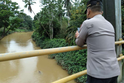 Warga di Sekitar Sungai Pangean Bungo Resah, Belakangan Kerap Muncul Buaya