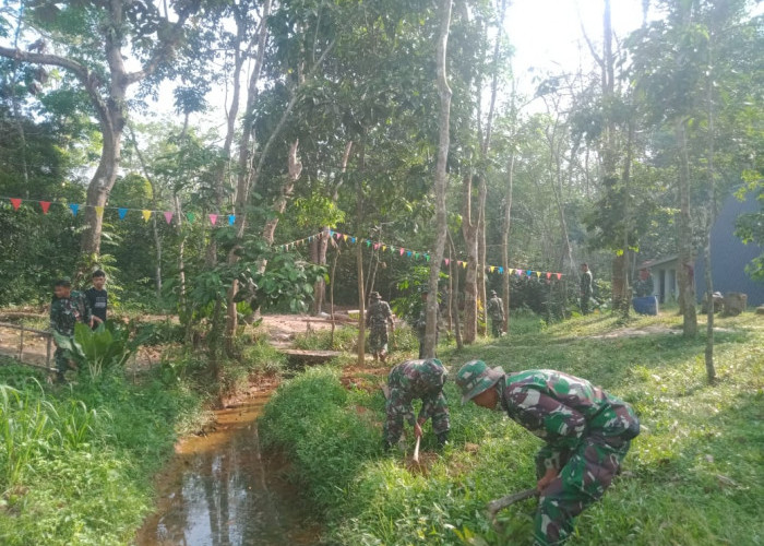 500 Lubang untuk Ditanami Pohon Digali Satgas TMMD ke-121 Kodim 0415/Jambi Bersama Karang Taruna Pondok Meja