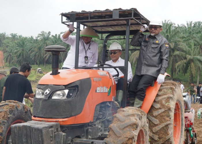 PTPN IV PalmCo Perluas Program Tanam Padi ke Jambi, Wujudkan Ketahanan Pangan Nasional