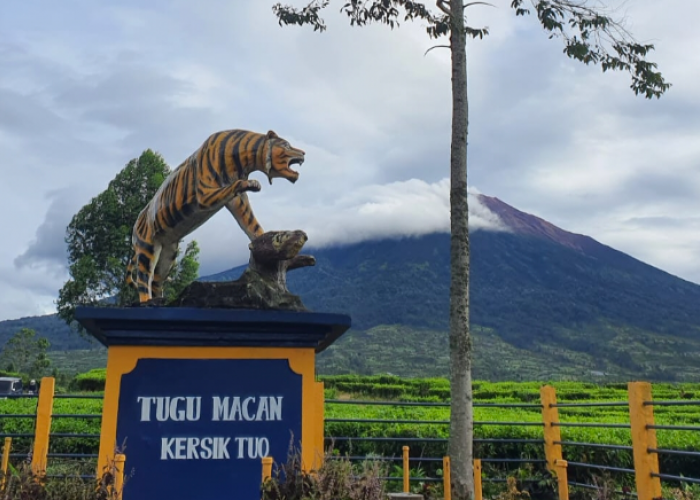 Manusia Harimau di Kerinci, Sosok Gaib Penjaga Hutan Gunung Tujuh?